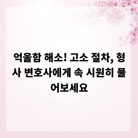 억울함 해소! 고소 절차, 형사 변호사에게 속 시원히 물어보세요