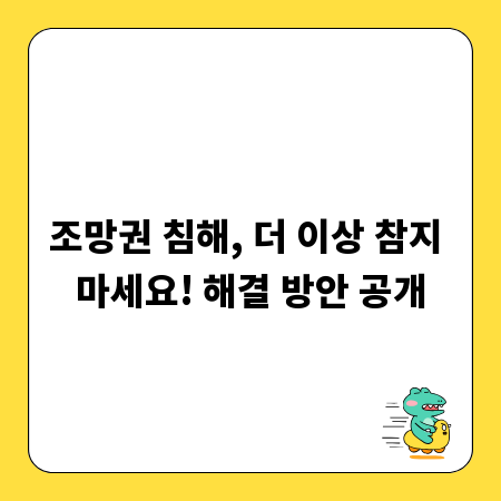 조망권 침해, 더 이상 참지 마세요! 해결 방안 공개