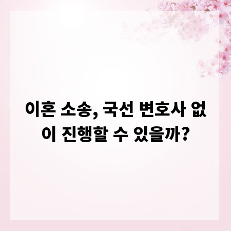 이혼 소송, 국선 변호사 없이 진행할 수 있을까?