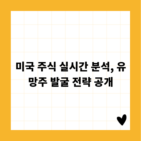 미국 주식 실시간 분석, 유망주 발굴 전략 공개