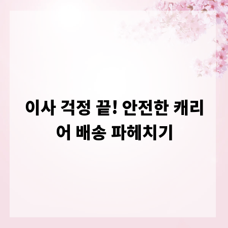 이사 걱정 끝! 안전한 캐리어 배송 파헤치기