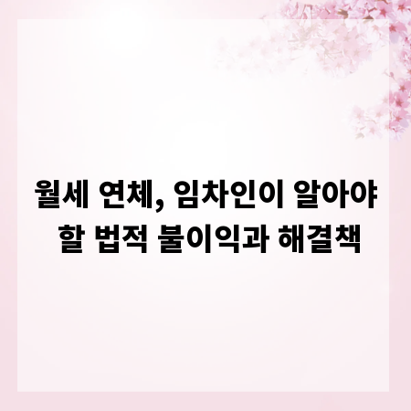 월세 연체, 임차인이 알아야 할 법적 불이익과 해결책