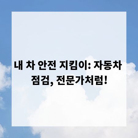 내 차 안전 지킴이: 자동차 점검, 전문가처럼!