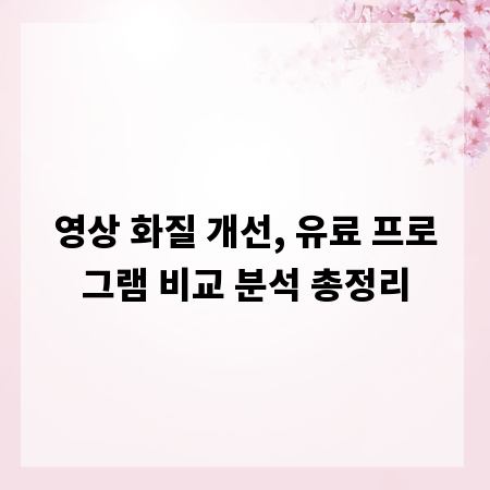 영상 화질 개선, 유료 프로그램 비교 분석 총정리