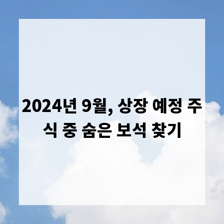 2024년 9월, 상장 예정 주식 중 숨은 보석 찾기