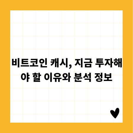 비트코인 캐시, 지금 투자해야 할 이유와 분석 정보