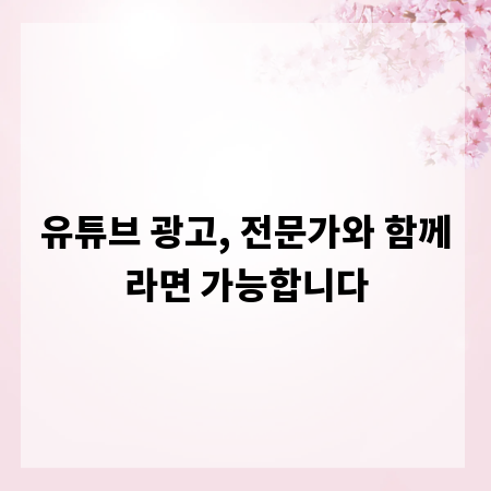 유튜브 광고, 전문가와 함께라면 가능합니다