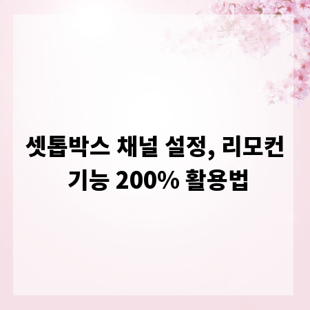 셋톱박스 채널 설정, 리모컨 기능 200% 활용법