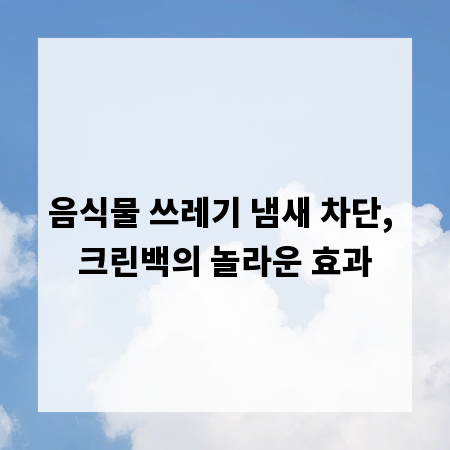 음식물 쓰레기 냄새 차단, 크린백의 놀라운 효과