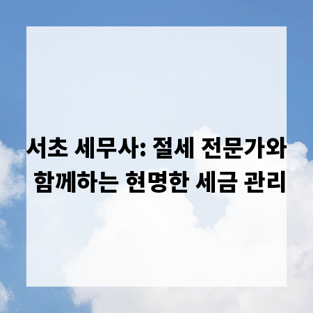 서초 세무사: 절세 전문가와 함께하는 현명한 세금 관리