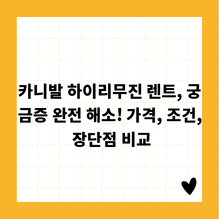 카니발 하이리무진 렌트, 궁금증 완전 해소! 가격, 조건, 장단점 비교