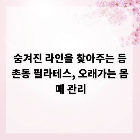 숨겨진 라인을 찾아주는 등촌동 필라테스, 오래가는 몸매 관리