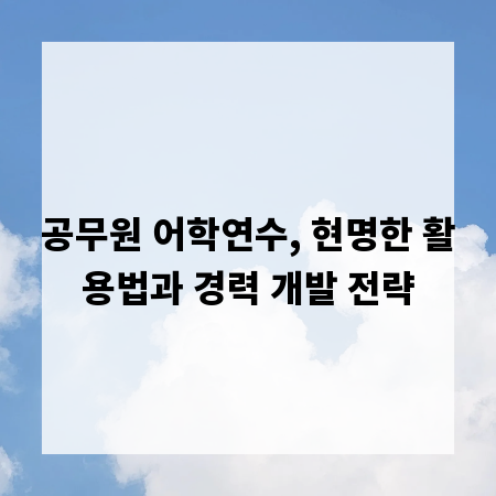 공무원 어학연수, 현명한 활용법과 경력 개발 전략