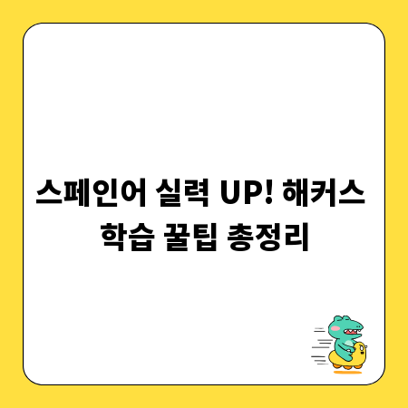 스페인어 실력 UP! 해커스 학습 꿀팁 총정리