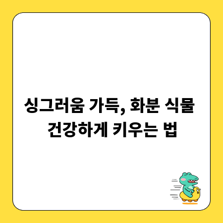 싱그러움 가득, 화분 식물 건강하게 키우는 법