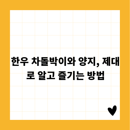 한우 차돌박이와 양지, 제대로 알고 즐기는 방법