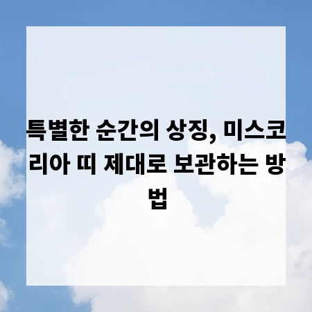 특별한 순간의 상징, 미스코리아 띠 제대로 보관하는 방법
