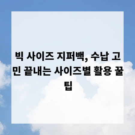 빅 사이즈 지퍼백, 수납 고민 끝내는 사이즈별 활용 꿀팁