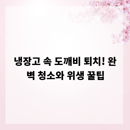 냉장고 속 도깨비 퇴치! 완벽 청소와 위생 꿀팁
