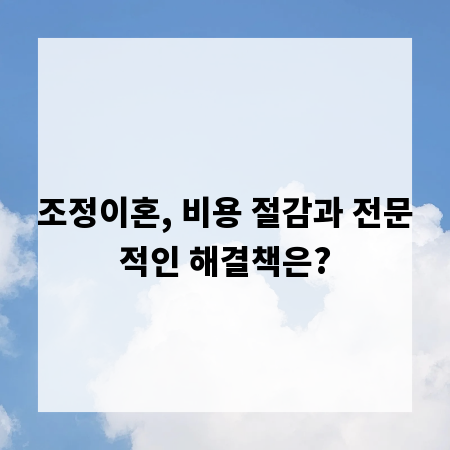 조정이혼, 비용 절감과 전문적인 해결책은?
