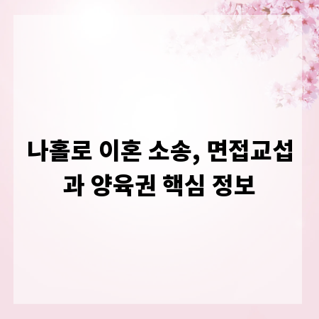나홀로 이혼 소송, 면접교섭과 양육권 핵심 정보