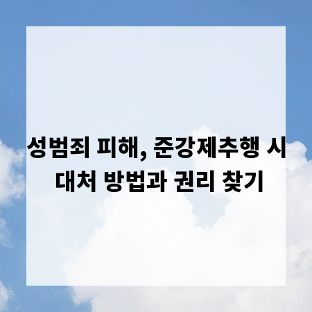 성범죄 피해, 준강제추행 시 대처 방법과 권리 찾기