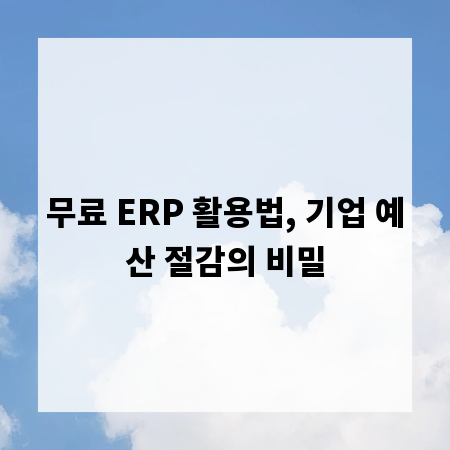 무료 ERP 활용법, 기업 예산 절감의 비밀