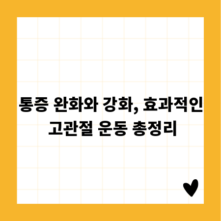 통증 완화와 강화, 효과적인 고관절 운동 총정리