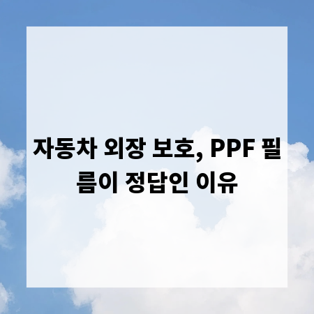 자동차 외장 보호, PPF 필름이 정답인 이유