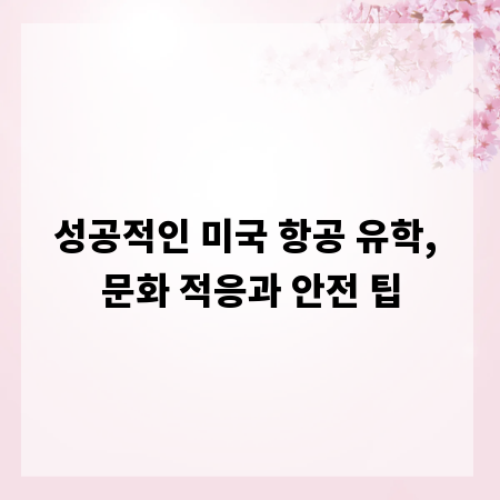 성공적인 미국 항공 유학, 문화 적응과 안전 팁