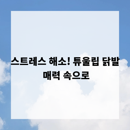 스트레스 해소! 튜울립 닭발 매력 속으로