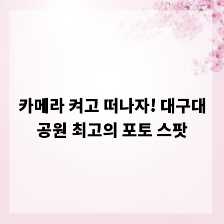 카메라 켜고 떠나자! 대구대공원 최고의 포토 스팟