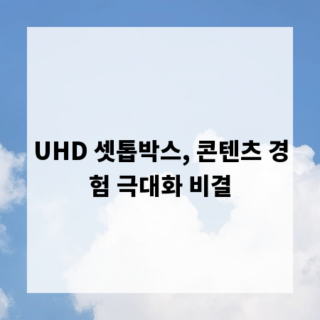 UHD 셋톱박스, 콘텐츠 경험 극대화 비결