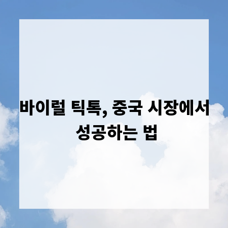 바이럴 틱톡, 중국 시장에서 성공하는 법