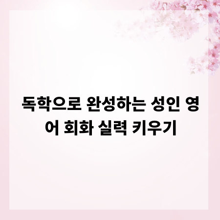 독학으로 완성하는 성인 영어 회화 실력 키우기