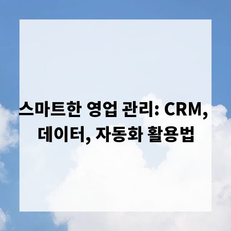 스마트한 영업 관리: CRM, 데이터, 자동화 활용법