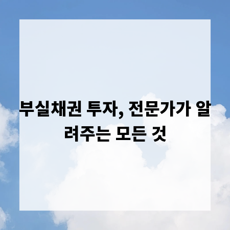 부실채권 투자, 전문가가 알려주는 모든 것