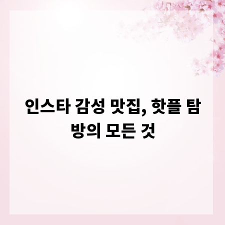인스타 감성 맛집, 핫플 탐방의 모든 것