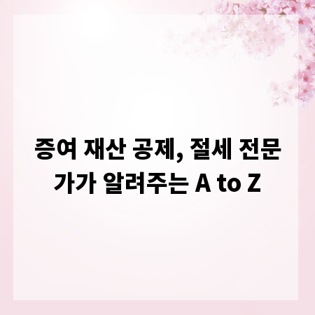 증여 재산 공제, 절세 전문가가 알려주는 A to Z
