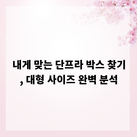 내게 맞는 단프라 박스 찾기, 대형 사이즈 완벽 분석