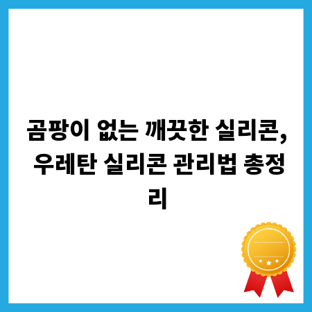 곰팡이 없는 깨끗한 실리콘, 우레탄 실리콘 관리법 총정리
