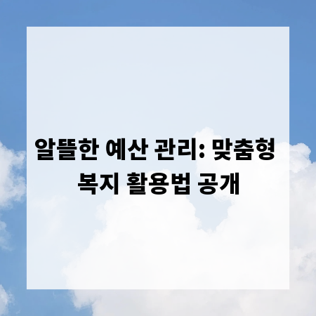 알뜰한 예산 관리: 맞춤형 복지 활용법 공개