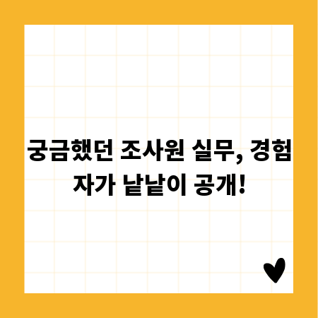 궁금했던 조사원 실무, 경험자가 낱낱이 공개!