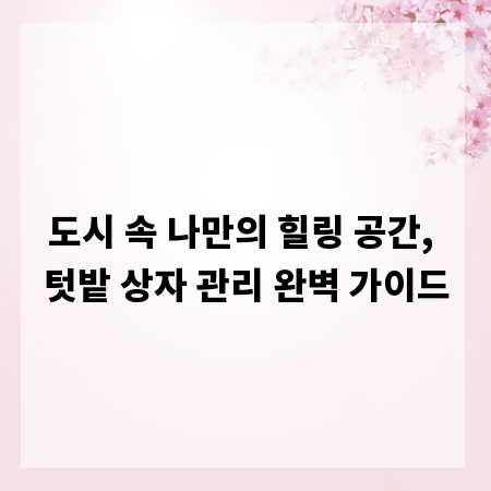 도시 속 나만의 힐링 공간, 텃밭 상자 관리 완벽 가이드