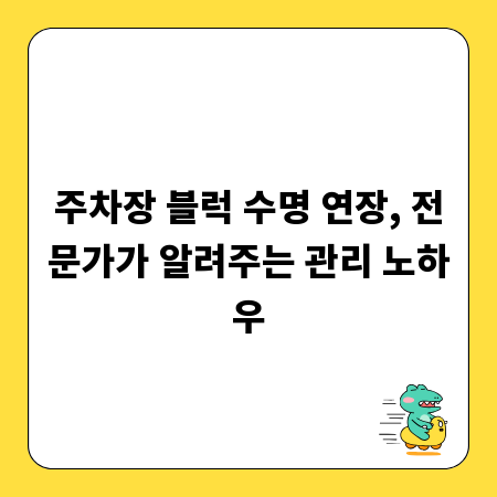 주차장 블럭 수명 연장, 전문가가 알려주는 관리 노하우