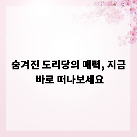 숨겨진 도리당의 매력, 지금 바로 떠나보세요