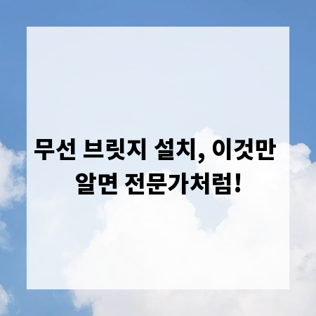 무선 브릿지 설치, 이것만 알면 전문가처럼!