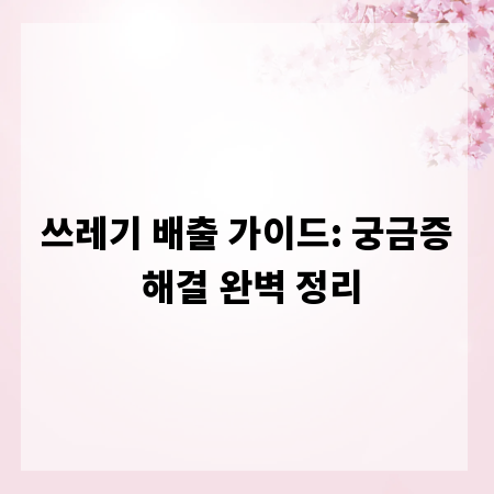 쓰레기 배출 가이드: 궁금증 해결 완벽 정리