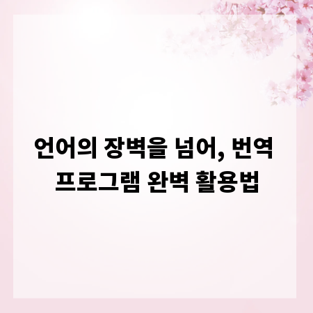 언어의 장벽을 넘어, 번역 프로그램 완벽 활용법