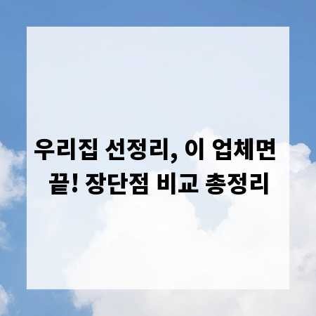 우리집 선정리, 이 업체면 끝! 장단점 비교 총정리